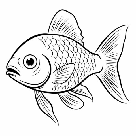 Illustration of a fish isolated on a white background