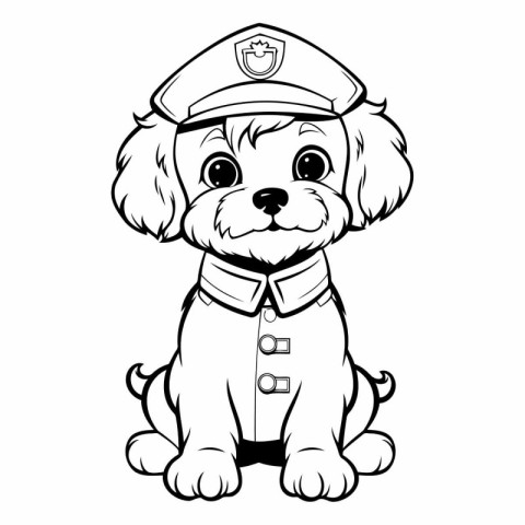 Puppy of Shih Tzu in Sailor Uniform