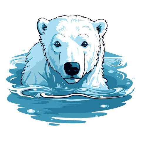 Polar bear swimming in the water of a polar bear.