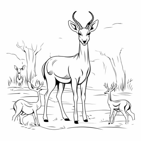 Black and white illustration of antelope in the savanna. Vector