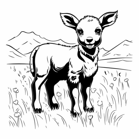 Vector illustration of a goat in the meadow. Wild animal.