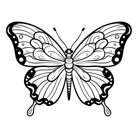 Butterfly isolated on a white background. Tattoo art.