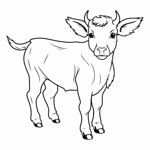 Vector image of a cow on a white background. Black and white ill