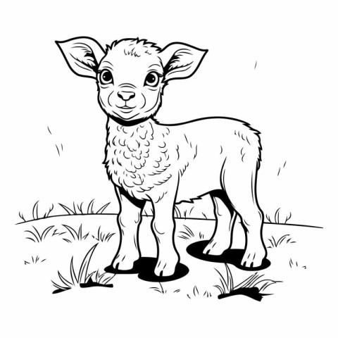 Cute little lamb standing on the grass. Hand drawn vector illust