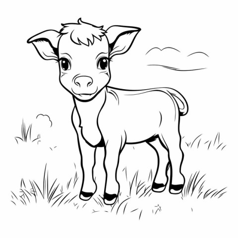 Cute little calf on the meadow. Coloring book for children.