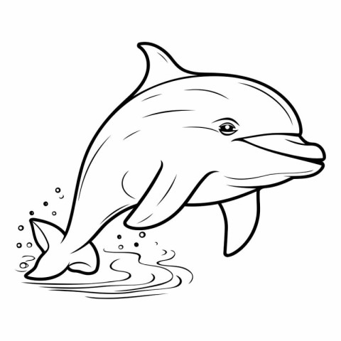 Dolphin jumping out of the water for your design