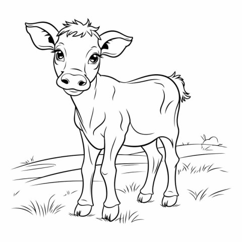 Coloring Page Outline Of Calf.