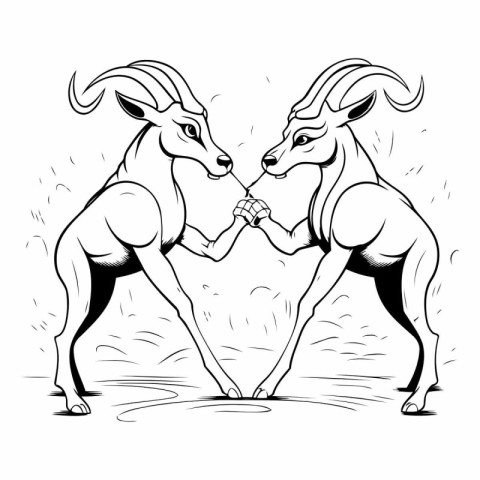 Vector image of two goats. Black and white illustration on white