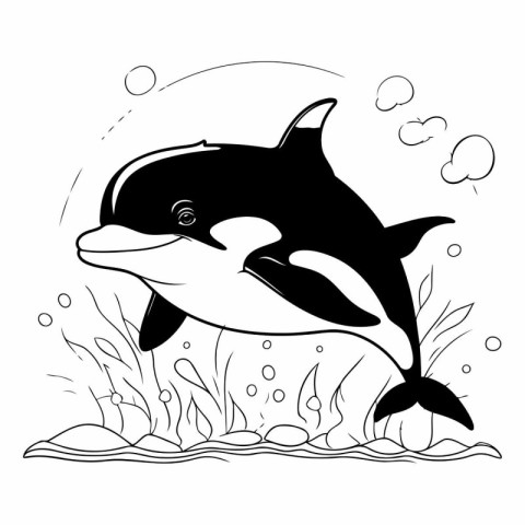 Black and white vector illustration of a cute killer whale in th