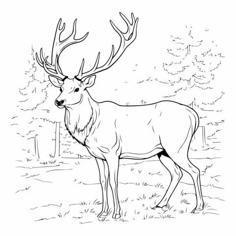 Deer in the forest. Black and white vector illustration for colo