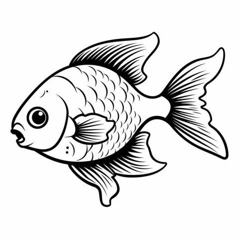 Black and white vector illustration of a goldfish. Isolated on w