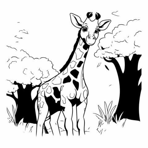 Giraffe in the savannah. Black and white vector illustration.