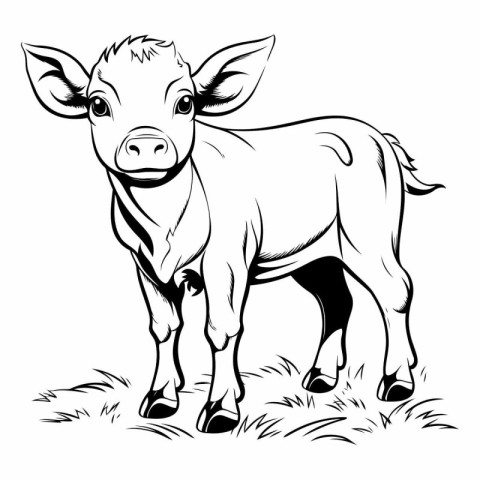 Black and white vector illustration of a cow standing on the gra