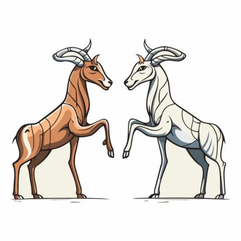 Vector image of a pair of antelope on a white background.