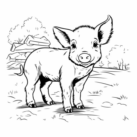 Vector image of a pig on a farm. Black and white illustration