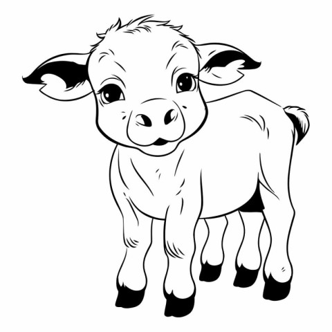 Vector image of a calf on a white background. Farm animal.