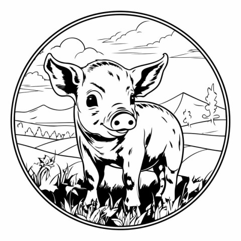 Pig in the meadow. Black and white vector illustration.