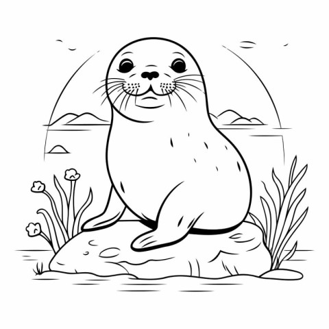 Cute seal on the rock for coloring book.