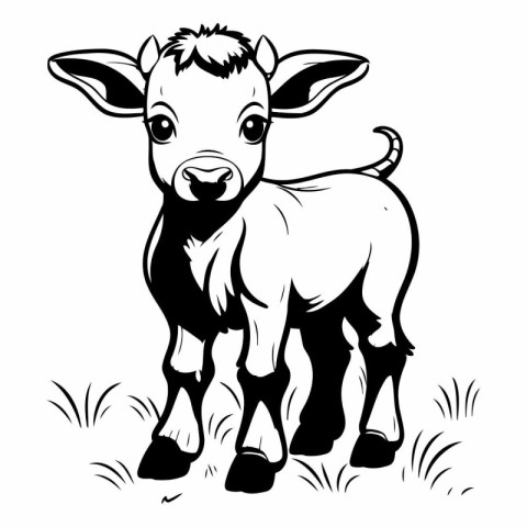 Black and white vector illustration of a calf standing on the gr