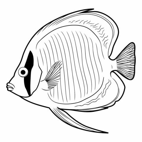 Black and white outline of a tropical fish on a white background