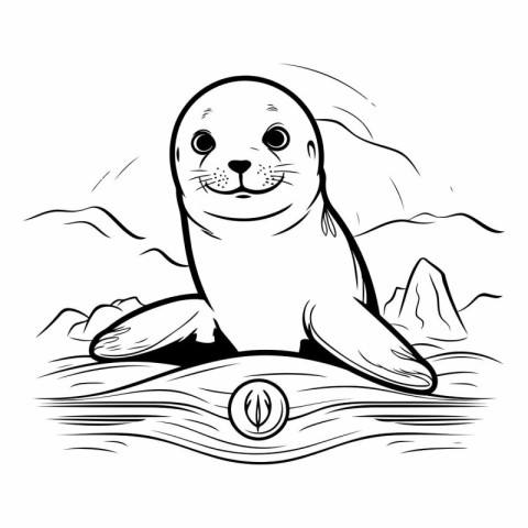 seal on the beach in black and white colors