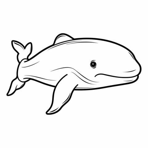 Whale icon. Outline illustration of whale vector icon for web