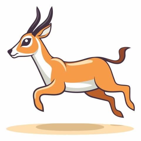 Running gazelle isolated on a white background.