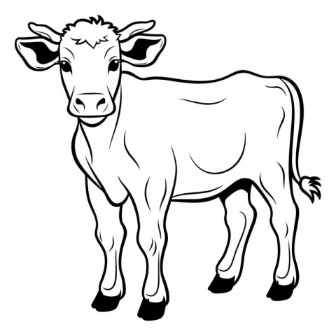 Vector image of a cow on a white background. Farm animal.