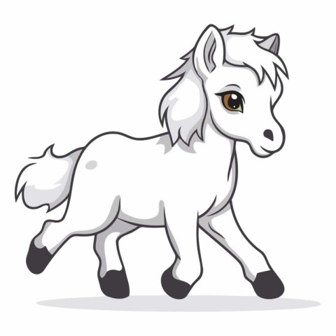 White horse with big eyes isolated on a white background.