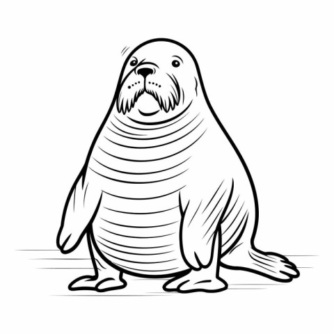 Sketch of a seal on a white background