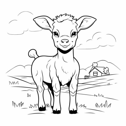 Cute baby goat on the farm for coloring book.