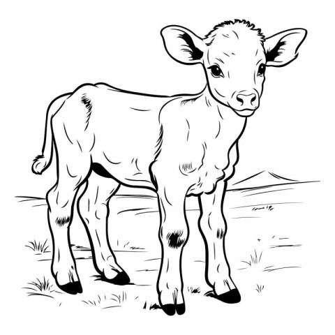 Black and white vector illustration of a calf standing on the gr