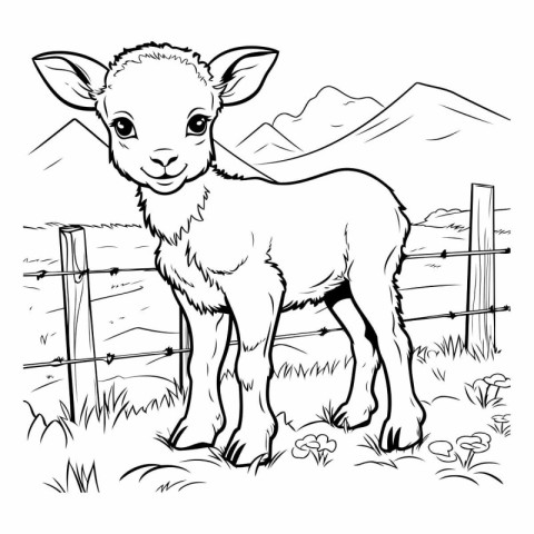 Cute lamb on the farm for coloring book.