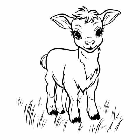 Vector image of a cute baby goat on a meadow. Farm animal.