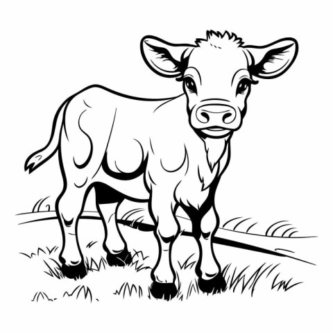 Cow. Farm Animal. Black and white vector illustration for colori