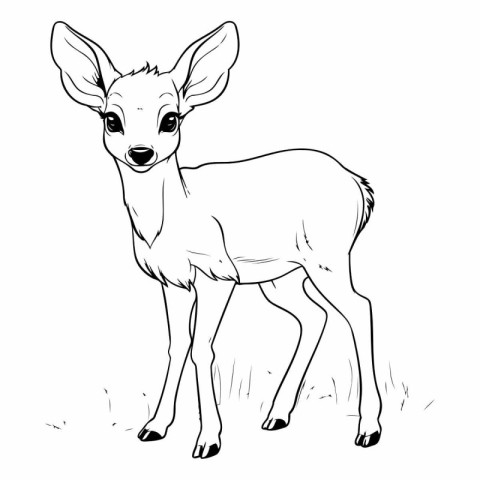 Sketch of a deer on a white background