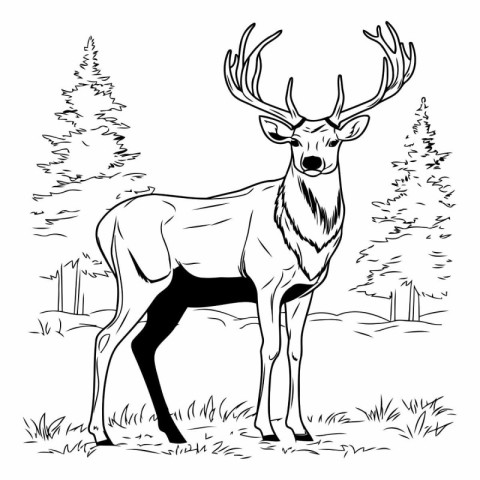 Deer in the forest. Black and white vector illustration for colo