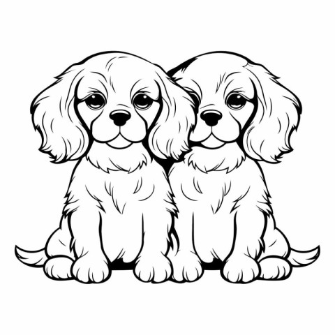 Cavalier King Charles Spaniel - Black and White Vector Illustrat