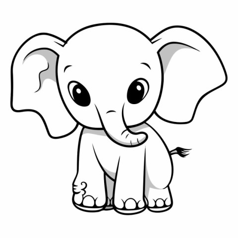 Cute baby elephant isolated on a white background.