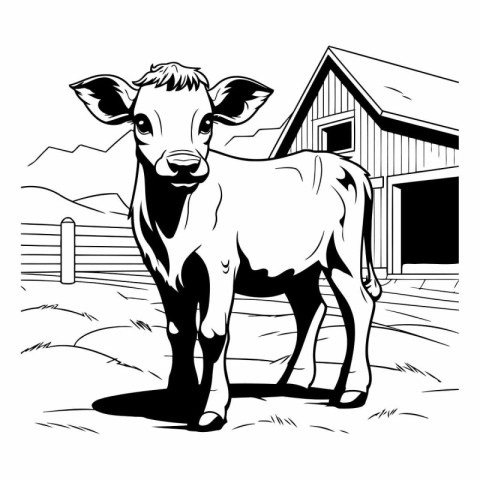 Cow standing in front of barn. Black and white vector illustrati