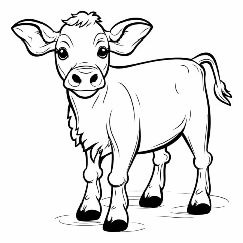 Black and White Cartoon Illustration of Calf Animal for Coloring