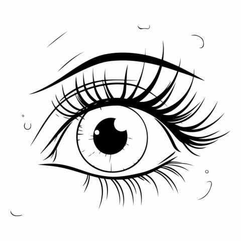 Black and white vector illustration of beautiful female eye with