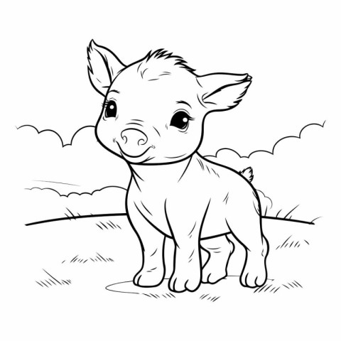 Cute cartoon pig on the field for coloring book.