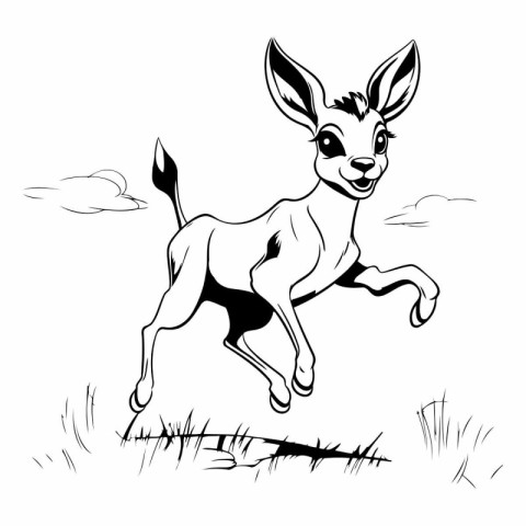 Running wild deer. Black and white vector illustration for color