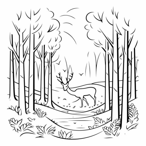 Deer in the forest. black and white vector illustration for colo