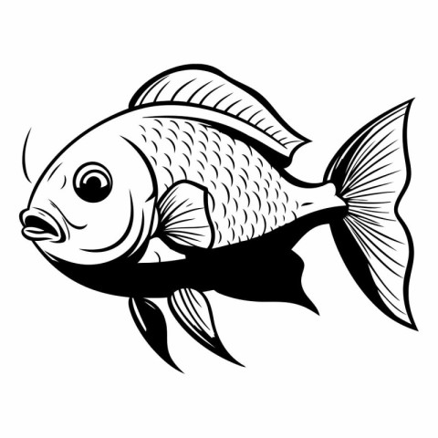 Tropical Fish - Black and White Vector Illustration - Isolated O