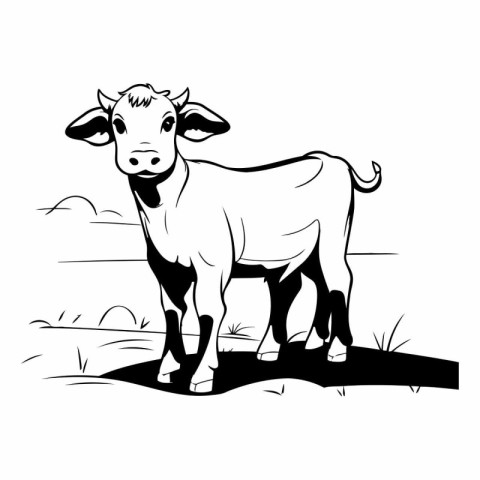 Cow in the field. Farm animal. Black and white vector illustrati