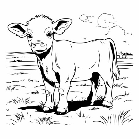 Cow on a meadow. Black and white vector illustration for colorin