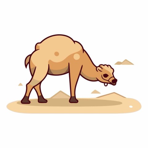 Camel on the sand in flat cartoon style.