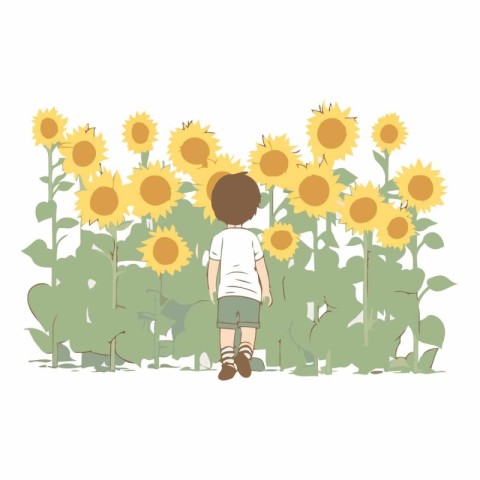 Cute little boy standing in sunflower field.